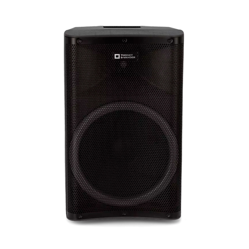PARLANTE THONET & VANDER STARKG2 350W BLUETOOTH Y RCA CON MICROFONO INALAMBRICO HK096-03646